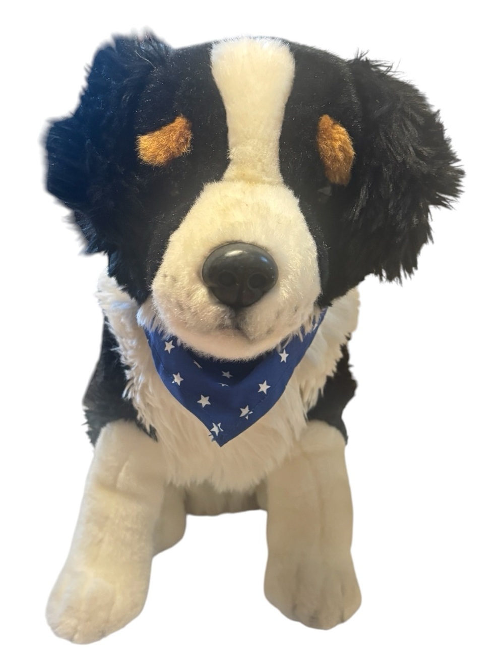 Circo Australian Shepard/Border Collie Plush Dog with Blue Star Bandana